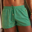 Sink Signature Palm Green Meridian Swim Shorts