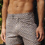 Sink Pinnacle Tailored Meridian Grey Swim Shorts