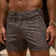 Sink Pinnacle Tailored Brown Meridian Swim Shorts